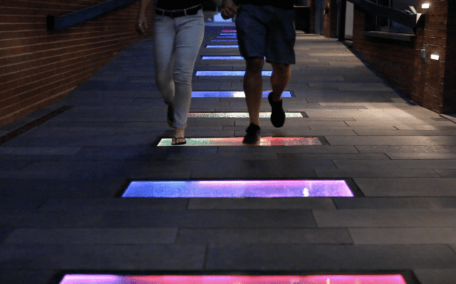 Interactive Landscape
